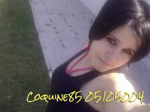 Coquine85-05105004