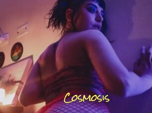 Cosmosis