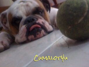 Cumalot4u