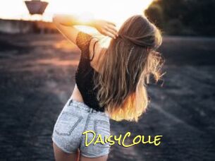 DaisyColle