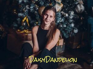 DaisyDandelion Elles Mouillent