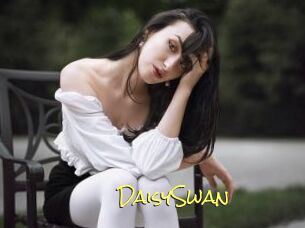 DaisySwan