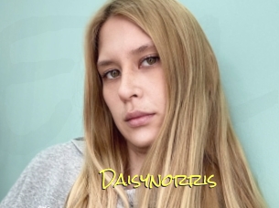 Daisynorris