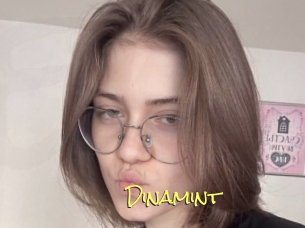 Dinamint