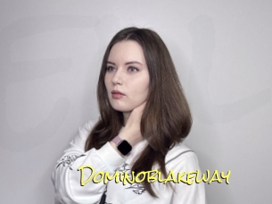 Dominoblakeway