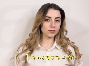 Dominoestridge