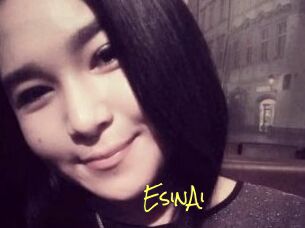 EsinAi