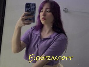 Elektrascott