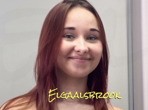 Elgaalsbrook