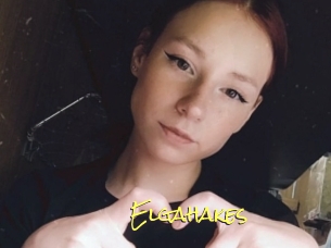Elgahakes