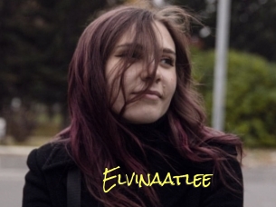 Elvinaatlee