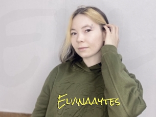 Elvinaaytes