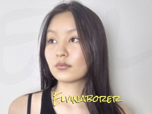 Elvinaborer