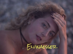 Elvinaesser