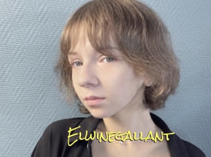 Elwinegallant