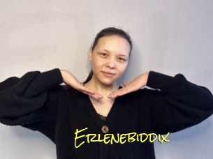 Erlenebiddix