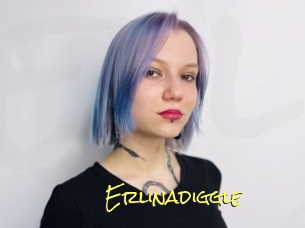 Erlinadiggle