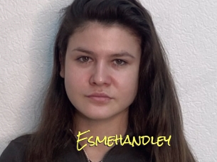 Esmehandley