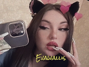 Evawallis
