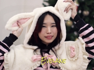 Evelane