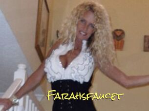 Farahsfaucet