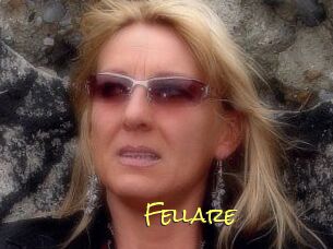 Fellare