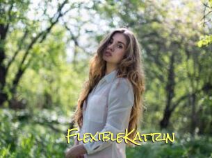 FlexibleKatrin