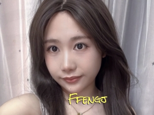Ffengj