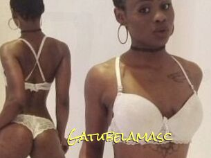 Gatubela_masc