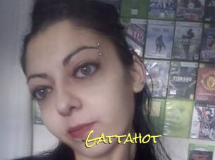 Gattahot