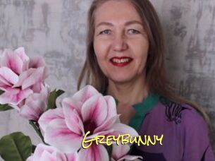 Greybunny