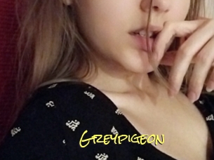 Greypigeon