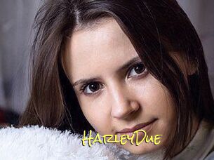 Harley_Due