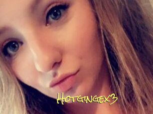 Hotgingex3