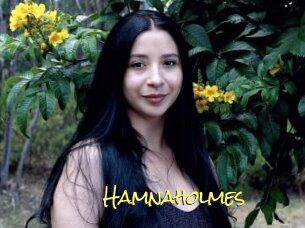 Hamnaholmes