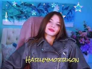 Harleymorrison