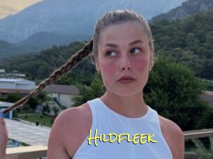 Hildfleek