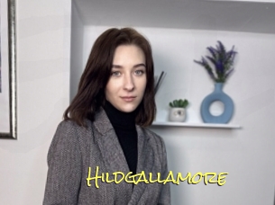 Hildgallamore