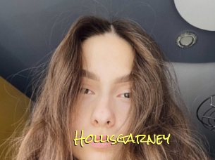 Hollisgarney
