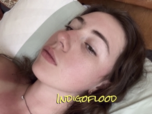 Indigoflood