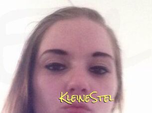 KleineStel