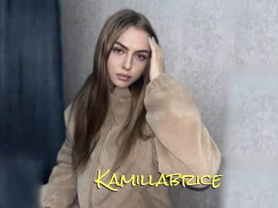 Kamillabrice