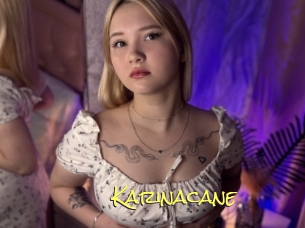 Karinacane