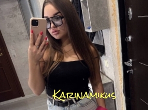 Karinamikus