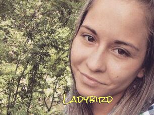 Ladybird