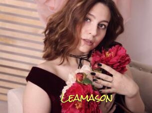 Leamason