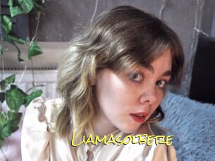 Liamasolbere