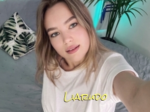 Liarudo