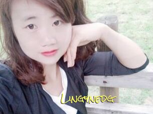Lingynedg