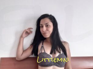 Littlemini